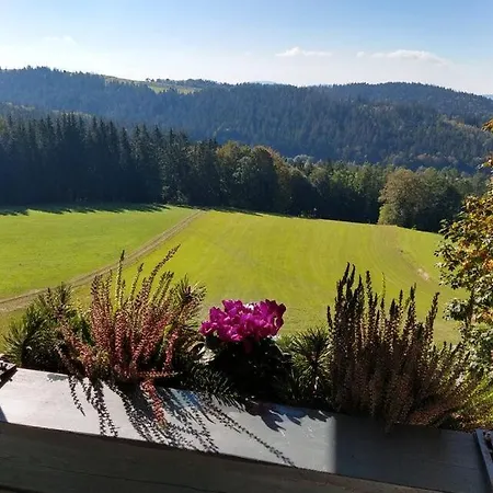 Ferienwohnungen Christa Grabmeier Grainet Exterior foto